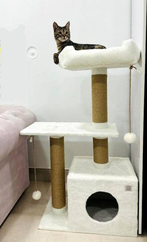 اسکرچر گربه سالیوان پت مدل CS114